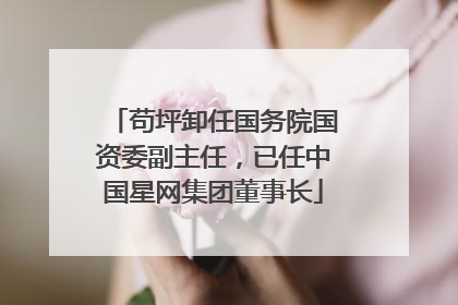 苟坪卸任国务院国资委副主任，已任中国星网集团董事长