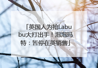 英国人为抢Labubu大打出手！泡泡玛特：暂停在英销售