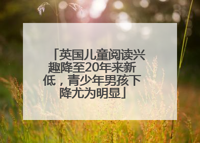 英国儿童阅读兴趣降至20年来新低，青少年男孩下降尤为明显
