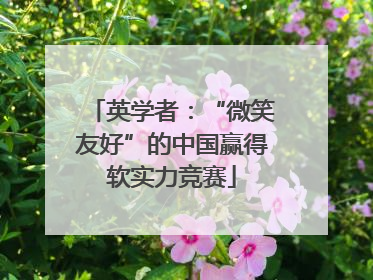 英学者：“微笑友好”的中国赢得软实力竞赛