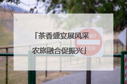 茶香盛宴展风采 农旅融合促振兴