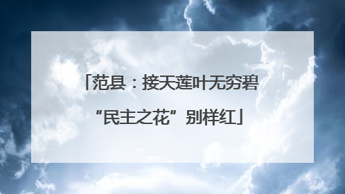 范县：接天莲叶无穷碧 “民主之花”别样红