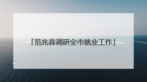 范兆森调研全市就业工作