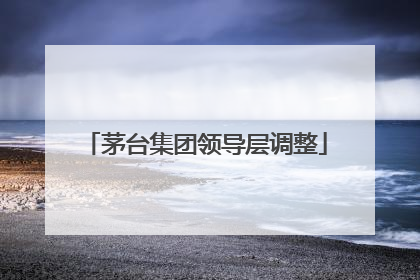 茅台集团领导层调整