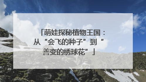 萌娃探秘植物王国：从“会飞的种子”到“善变的绣球花”