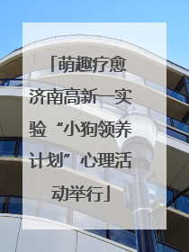萌趣疗愈 济南高新一实验“小狗领养计划”心理活动举行