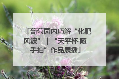 葡萄园内巧解“化肥风波”｜“天平杯·随手拍”作品展播
