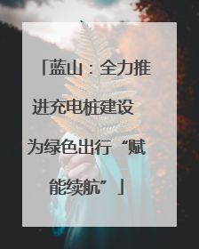蓝山：全力推进充电桩建设 为绿色出行“赋能续航”