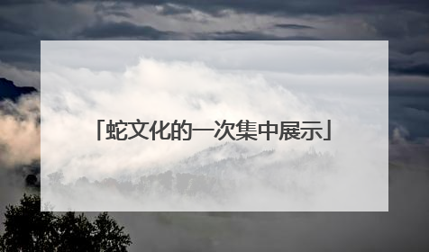 蛇文化的一次集中展示