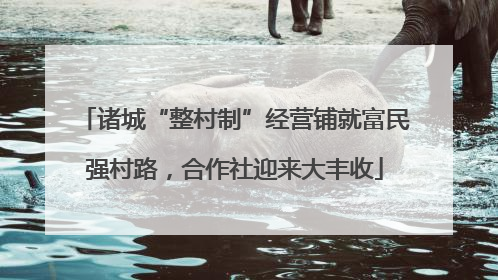 诸城“整村制”经营铺就富民强村路，合作社迎来大丰收