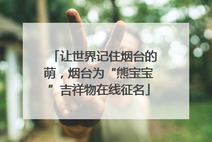 让世界记住烟台的萌，烟台为“熊宝宝”吉祥物在线征名
