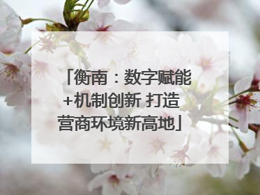 衡南：数字赋能+机制创新 打造营商环境新高地