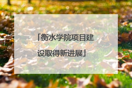 衡水学院项目建设取得新进展