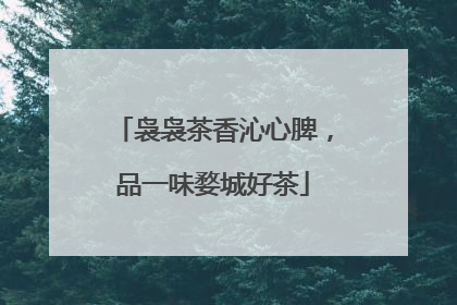 袅袅茶香沁心脾，品一味婺城好茶