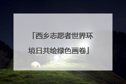 西乡志愿者世界环境日共绘绿色画卷