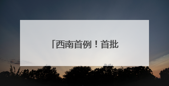 西南首例！首批“四川籍”朱鹮在沐川野化放飞