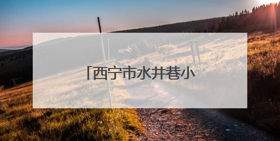 西宁市水井巷小学：牢记党的教导 争做强国少年
