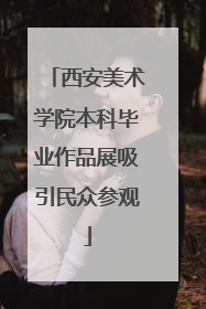 西安美术学院本科毕业作品展吸引民众参观