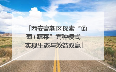 西安高新区探索“葡萄+蔬菜”套种模式 实现生态与效益双赢