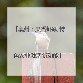 襄州：果香虾跃 特色农业激活新动能