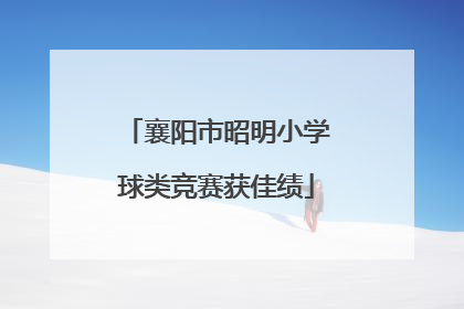 襄阳市昭明小学球类竞赛获佳绩