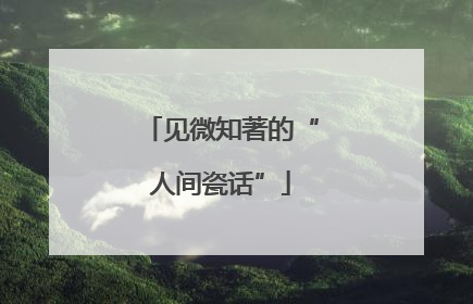 见微知著的“人间瓷话”
