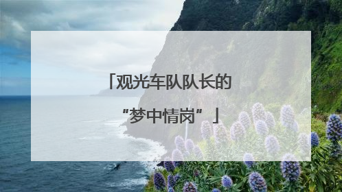 观光车队队长的“梦中情岗”