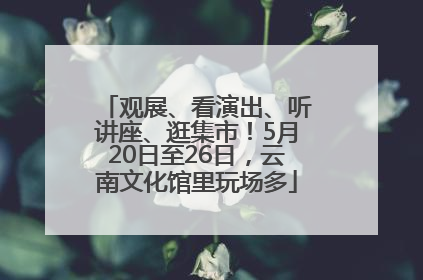 观展、看演出、听讲座、逛集市！5月20日至26日，云南文化馆里玩场多