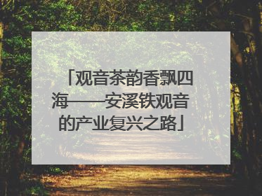 观音茶韵香飘四海——安溪铁观音的产业复兴之路