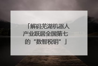 解码芜湖机器人产业跃居全国第七的“数智税钥”