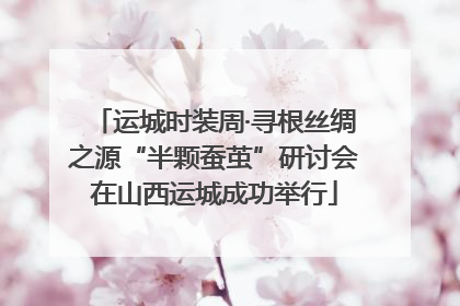 运城时装周·寻根丝绸之源“半颗蚕茧”研讨会在山西运城成功举行