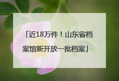 近18万件！山东省档案馆新开放一批档案