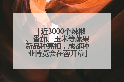 近3000个辣椒、番茄、玉米等蔬果新品种亮相，成都种业博览会在蓉开幕