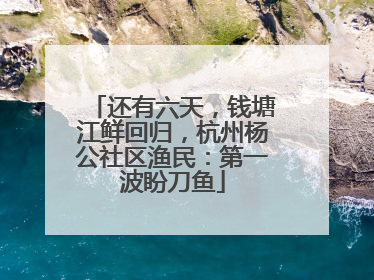 还有六天，钱塘江鲜回归，杭州杨公社区渔民：第一波盼刀鱼