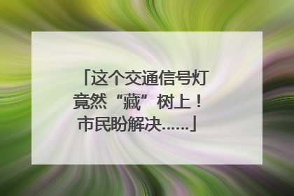 这个交通信号灯竟然“藏”树上！市民盼解决……