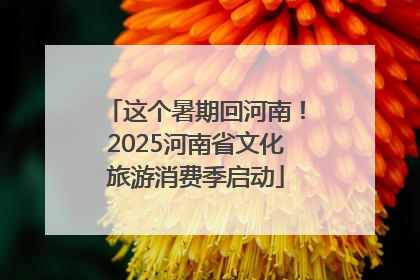 这个暑期回河南！2025河南省文化旅游消费季启动