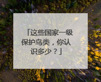 这些国家一级保护鸟类，你认识多少？