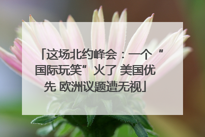 这场北约峰会：一个“国际玩笑”火了 美国优先 欧洲议题遭无视