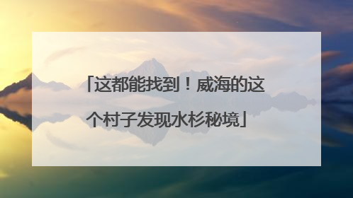 这都能找到！威海的这个村子发现水杉秘境