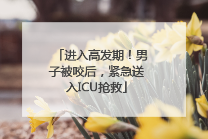 进入高发期！男子被咬后，紧急送入ICU抢救