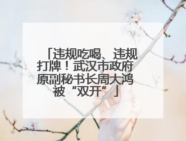 违规吃喝、违规打牌！武汉市政府原副秘书长周大鸿被“双开”