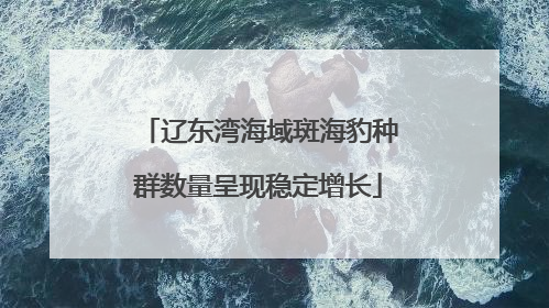 辽东湾海域斑海豹种群数量呈现稳定增长