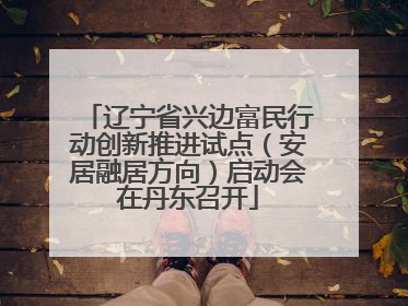 辽宁省兴边富民行动创新推进试点（安居融居方向）启动会在丹东召开