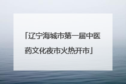 辽宁海城市第一届中医药文化夜市火热开市