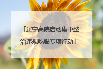 辽宁高院启动集中整治违规吃喝专项行动
