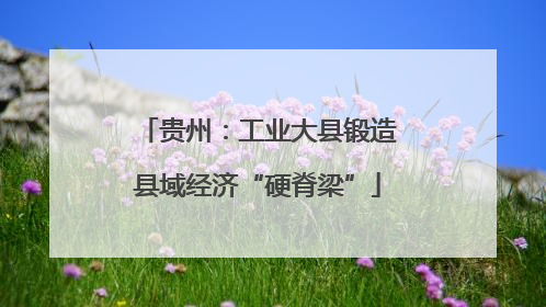 贵州：工业大县锻造县域经济“硬脊梁”