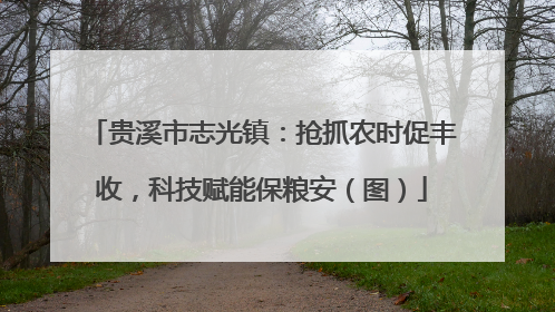 贵溪市志光镇：抢抓农时促丰收，科技赋能保粮安（图）