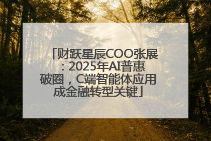 财跃星辰COO张展：2025年AI普惠破圈，C端智能体应用成金融转型关键