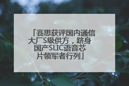 赛思获评国内通信大厂S级供方，跻身国产SLIC语音芯片领军者行列