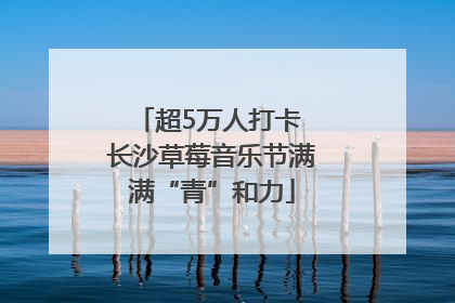 超5万人打卡 长沙草莓音乐节满满“青”和力